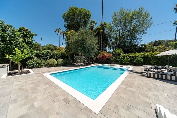 13789 pool 6