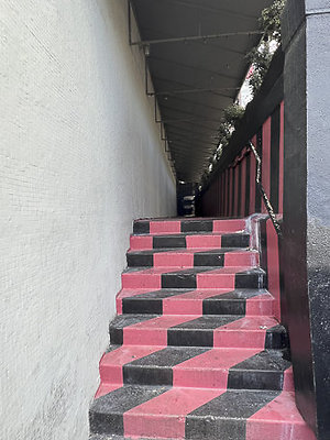 IMG 5500