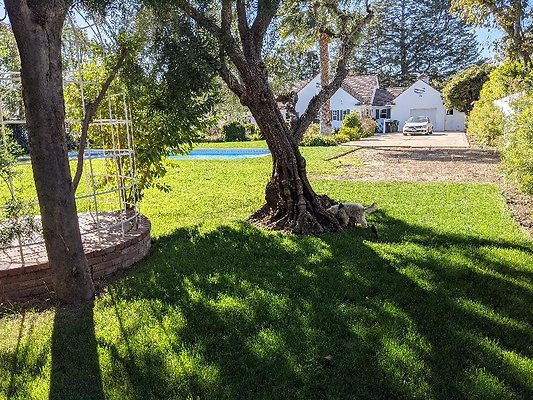 10536 garden 1