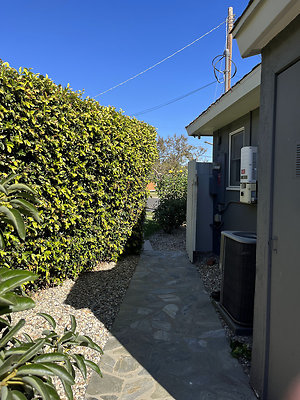 10139 side 1