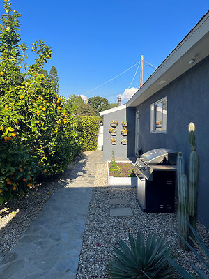 10139 side 3