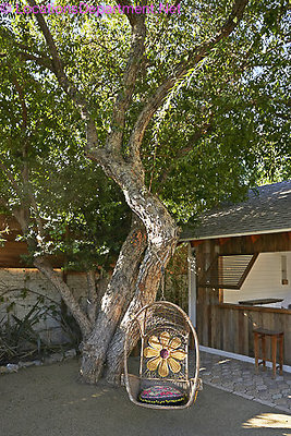 MERICANA 145 RANCH HOME-72