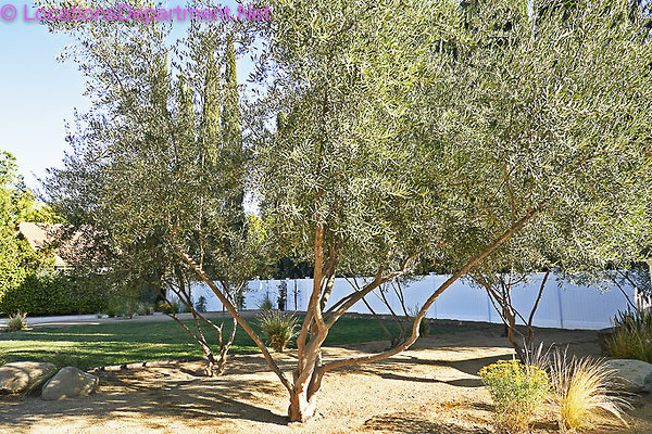 MERICANA 145 RANCH HOME-90