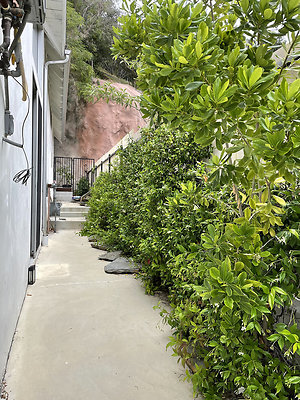 9568 garden 1