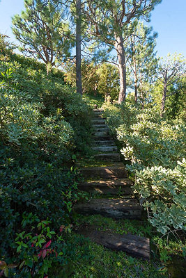 13000 garden 2