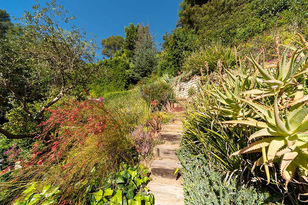 12668 garden 3