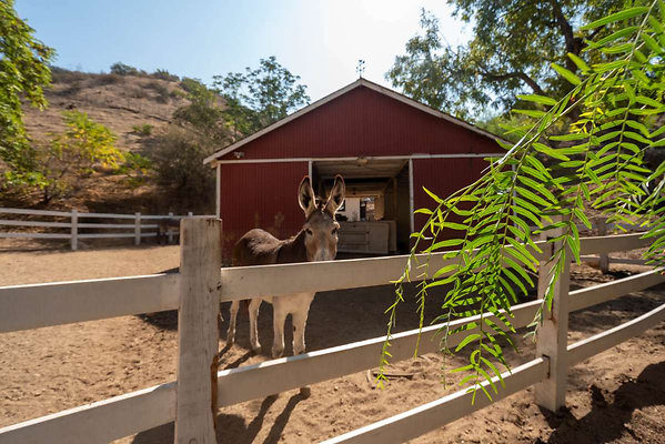 12922 barn 2