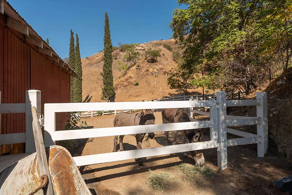 12922 corral 5