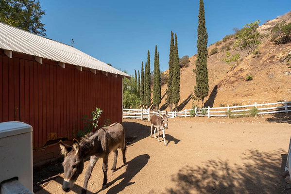 12922 corral 2
