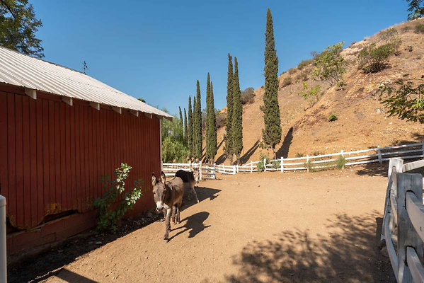 12922 corral 3