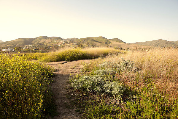 Path to the Beach - 08
