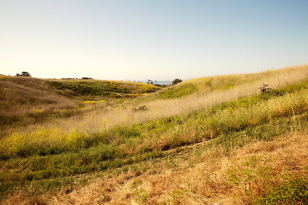 Path to the Beach - 06