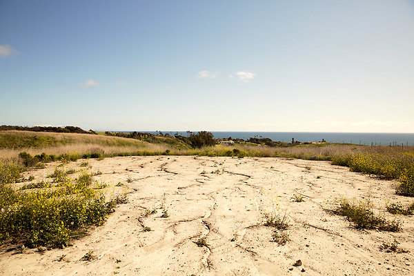 Path to the Beach - 03