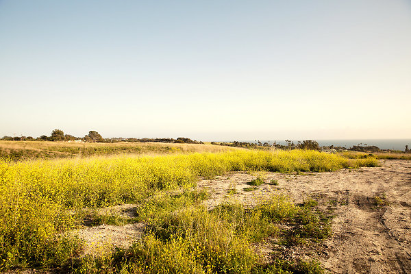 Path to the Beach - 04