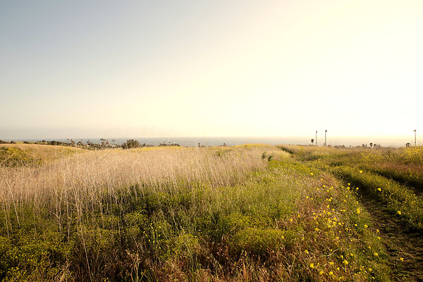 Path to the Beach - 07