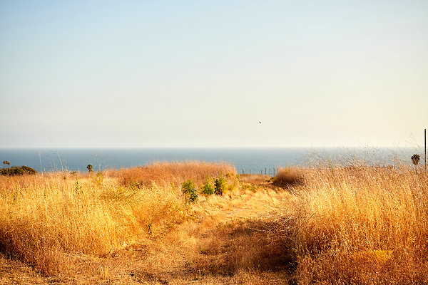 Path to the Beach - 11