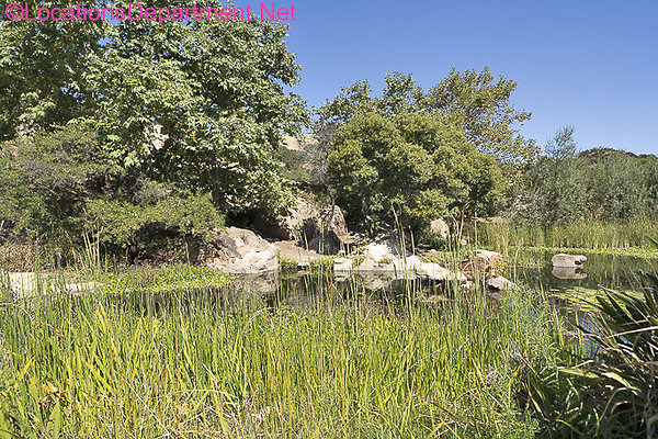 Ranch 2007-145