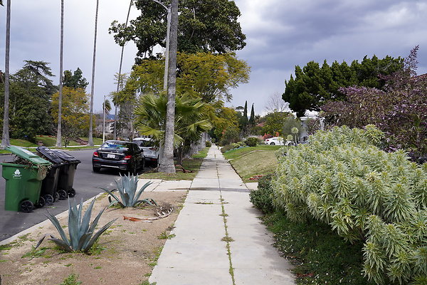 DSC02642