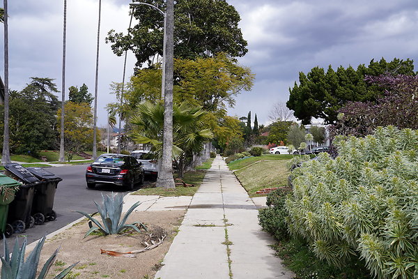 DSC02643