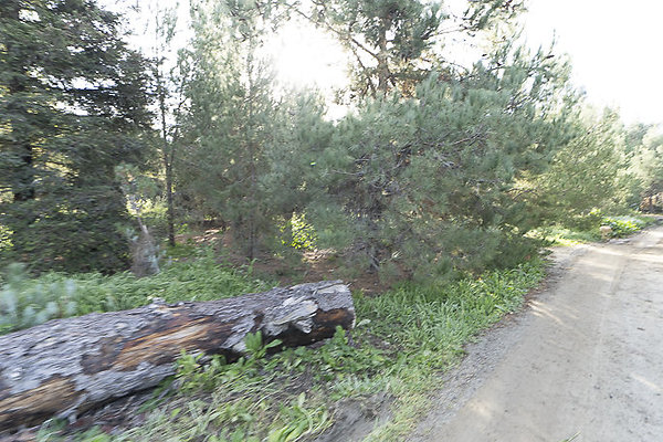  PXC2993