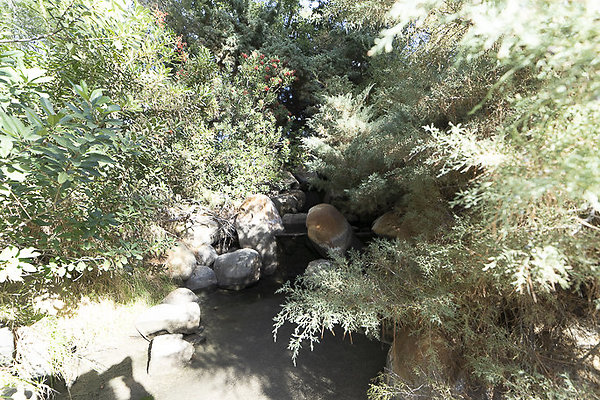  PXC3118
