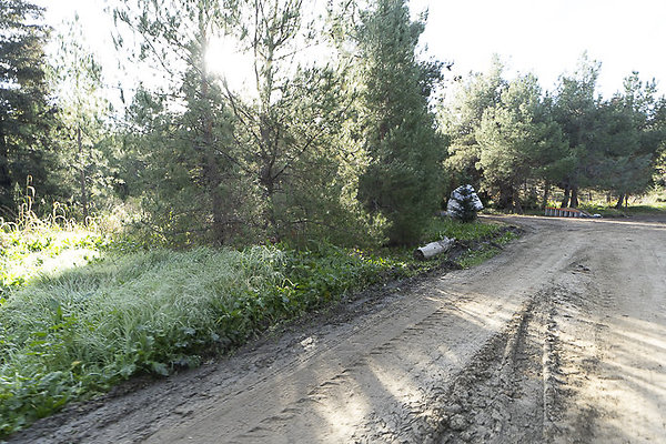  PXC3000