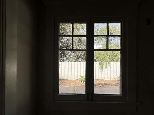 IMG 0981