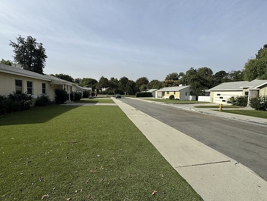 IMG 0852