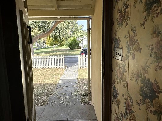IMG 1341 2