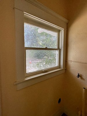 IMG 1013