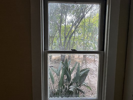IMG 1001