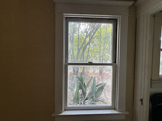 IMG 0999