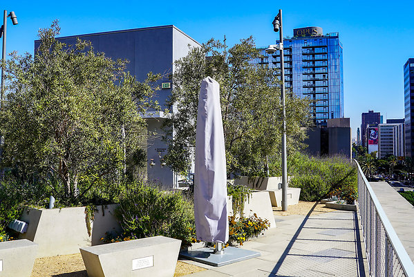REEL ESTATE PARTNERS EVTO6-KTOWN (17)