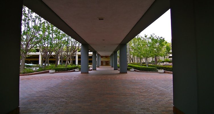 IMG 8422
