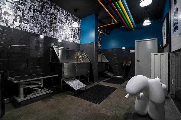 ReelEstatePartners mfa40-dtla-27