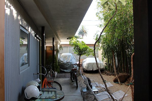 IMG 7086
