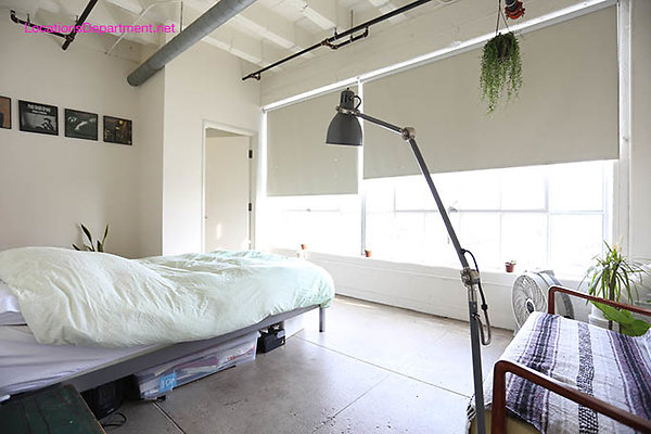 Loft 443 014