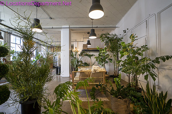 Loft 450-72