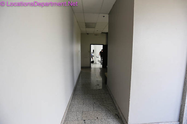 Loft 446 037