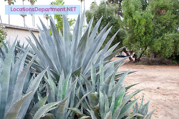 LocationsDepartment.net Loft 421 040