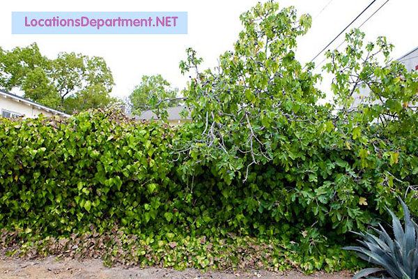 LocationsDepartment.net Loft 421 058