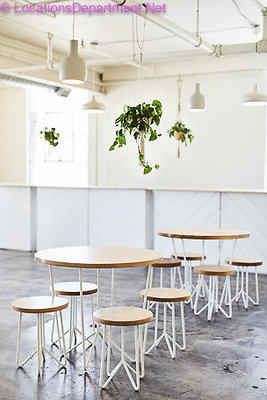 Loft 453-20