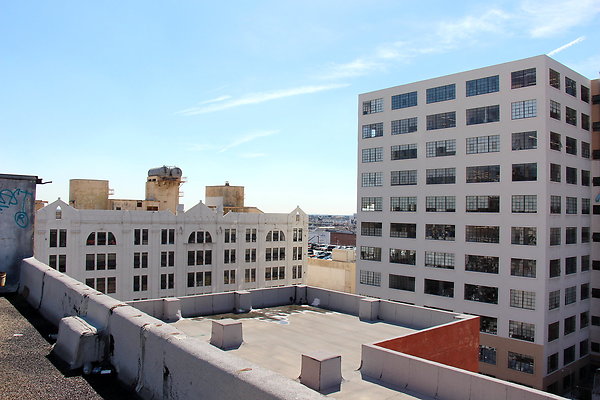 IMG 0555