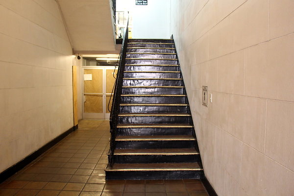 IMG 0611
