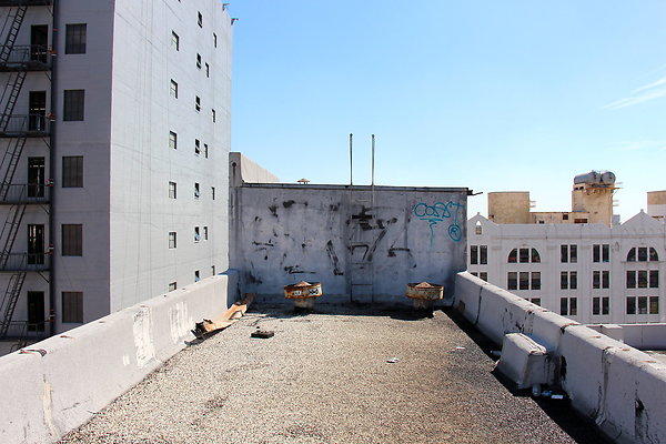 IMG 0554