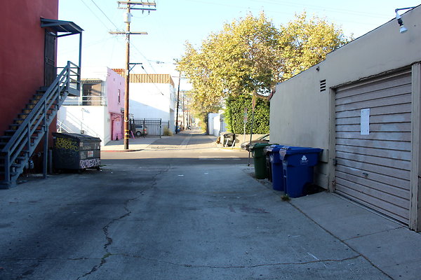 IMG 3865