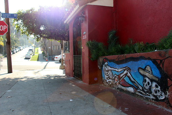 IMG 9249