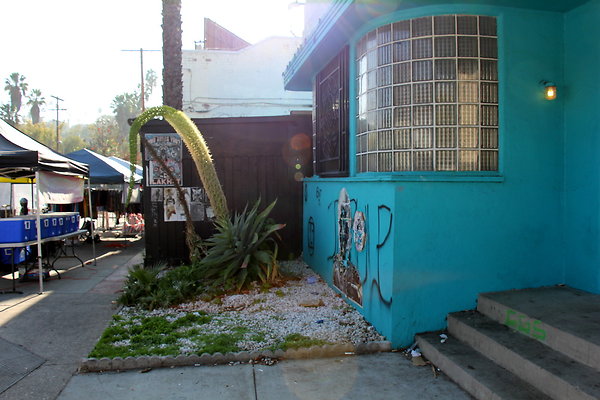IMG 9245