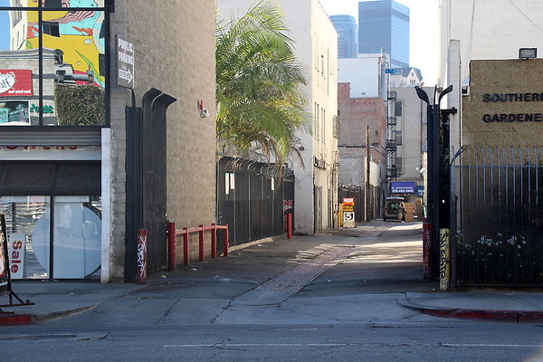 IMG 3692