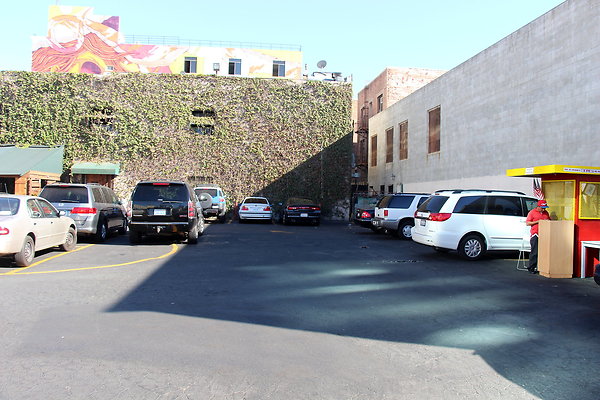 IMG 3694